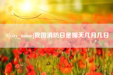 六安我国消防日是哪天几月几日