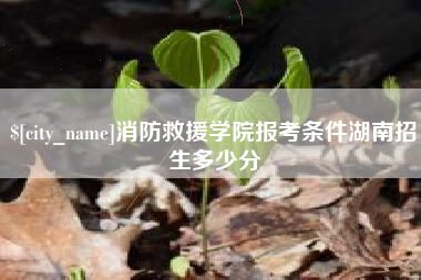 六安消防救援学院报考条件湖南招生多少分