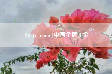六安中国金牌18金