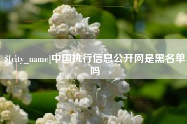 六安中国执行信息公开网是黑名单吗