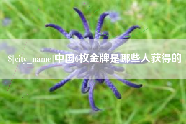 六安中国6枚金牌是哪些人获得的