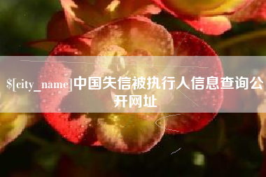 六安中国失信被执行人信息查询公开网址