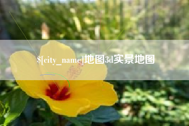 六安地图3d实景地图