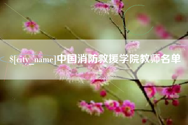 六安中国消防救援学院教师名单