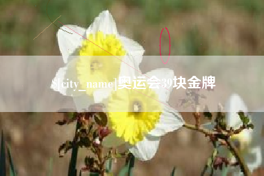 六安奥运会39块金牌