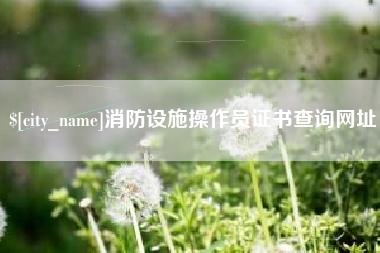 六安消防设施操作员证书查询网址