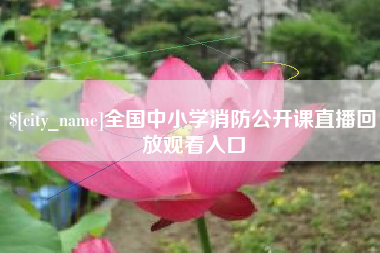 六安全国中小学消防公开课直播回放观看入口