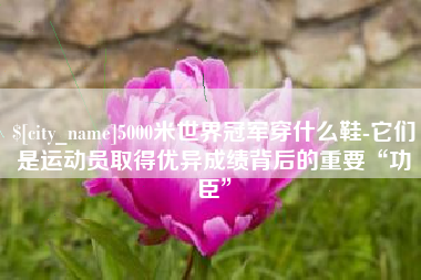 六安5000米世界冠军穿什么鞋-它们是运动员取得优异成绩背后的重要“功臣”