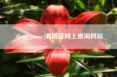 六安消防证网上查询网站