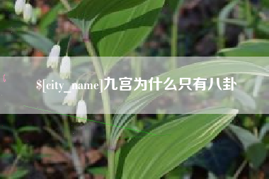 六安九宫为什么只有八卦
