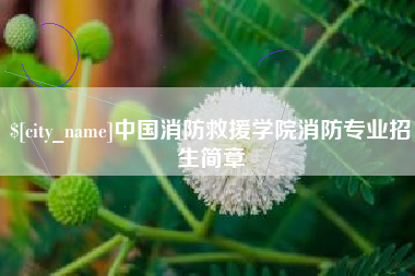 六安中国消防救援学院消防专业招生简章