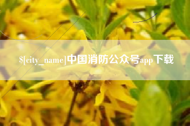 六安中国消防公众号app下载