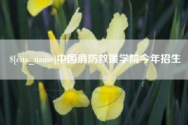 六安中国消防救援学院今年招生