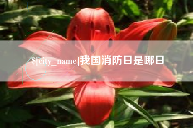 六安我国消防日是哪日