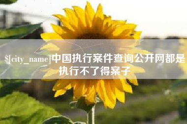 六安中国执行案件查询公开网都是执行不了得案子