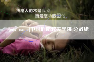 六安中国消防救援学院 分数线