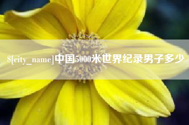 六安中国5000米世界纪录男子多少