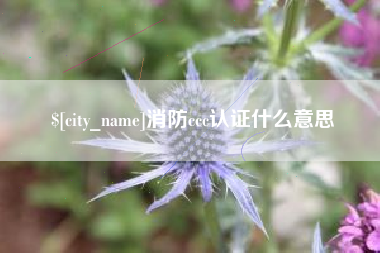 六安消防ccc认证什么意思