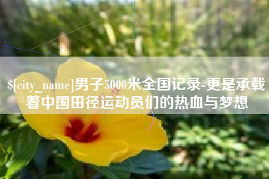 六安男子5000米全国记录-更是承载着中国田径运动员们的热血与梦想