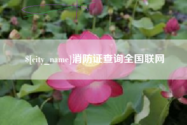 六安消防证查询全国联网