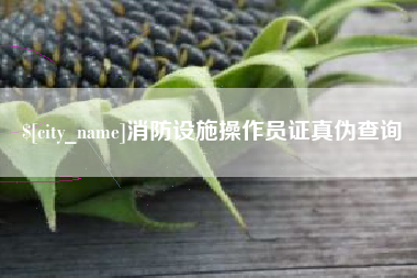 六安消防设施操作员证真伪查询