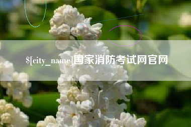 六安国家消防考试网官网