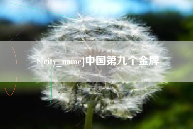 六安中国第九个金牌