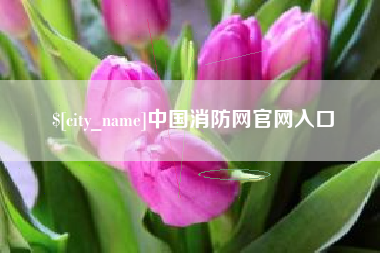 六安中国消防网官网入口