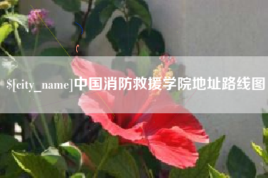 六安中国消防救援学院地址路线图