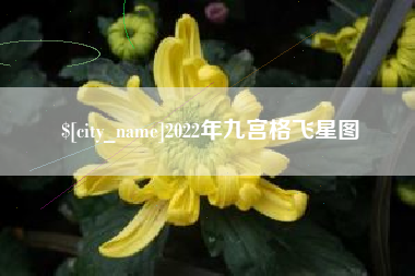 六安2022年九宫格飞星图