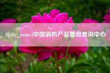六安中国消防产品信息查询中心