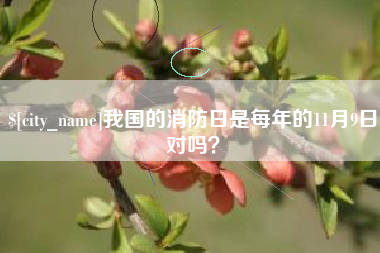 六安我国的消防日是每年的11月9日对吗？