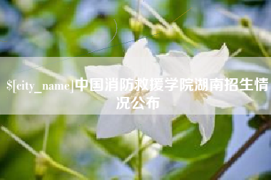 六安中国消防救援学院湖南招生情况公布