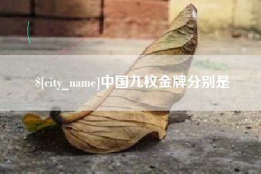 六安中国九枚金牌分别是