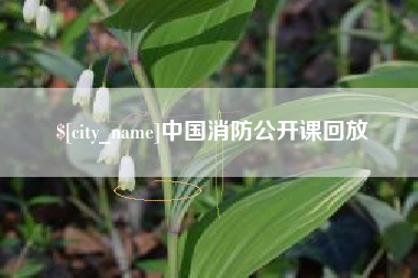 六安中国消防公开课回放