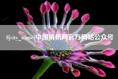 六安中国消防网官方网站公众号
