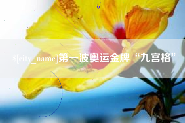 六安第一波奥运金牌“九宫格”