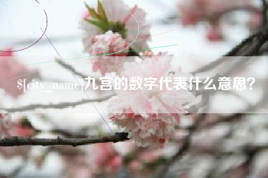 六安九宫的数字代表什么意思？