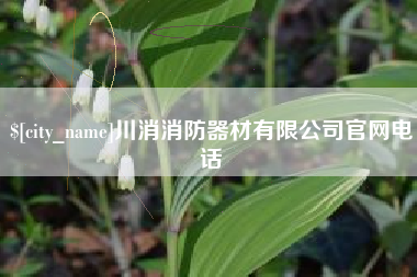 六安川消消防器材有限公司官网电话