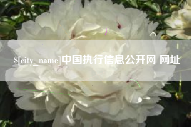 六安中国执行信息公开网 网址