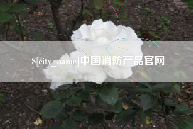 六安中国消防产品官网