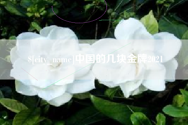 六安中国的几块金牌2021