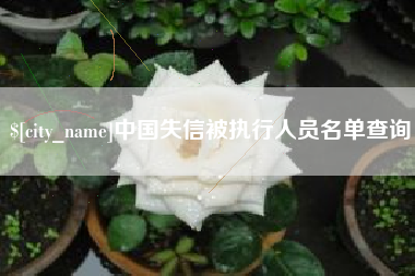 六安中国失信被执行人员名单查询