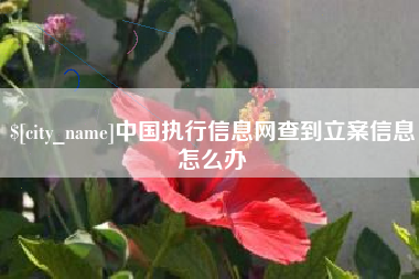 六安中国执行信息网查到立案信息怎么办