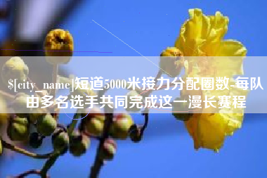 六安短道5000米接力分配圈数-每队由多名选手共同完成这一漫长赛程
