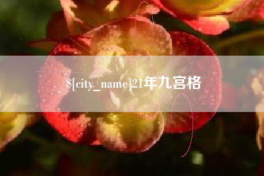 六安21年九宫格