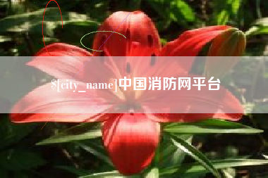 六安中国消防网平台