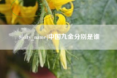 六安中国九金分别是谁
