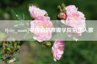 六安中国消防救援学院招生人数
