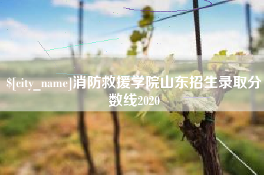 六安消防救援学院山东招生录取分数线2020